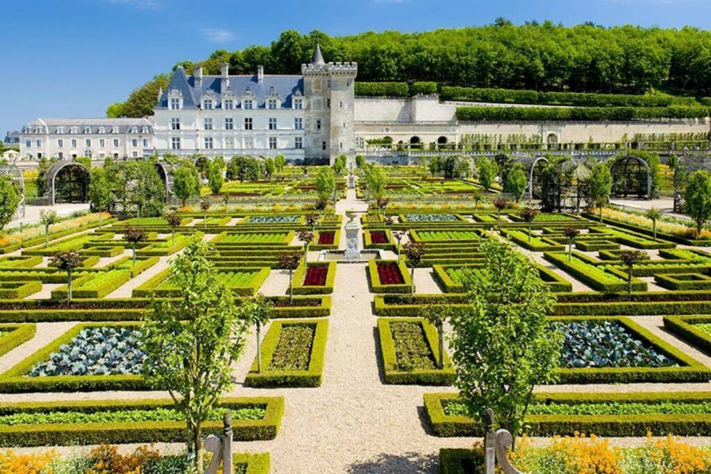 Amalouyse Studio De Charme Au Coeur Des Chateaux De Loire Montlouis-sur-Loire Exterior foto